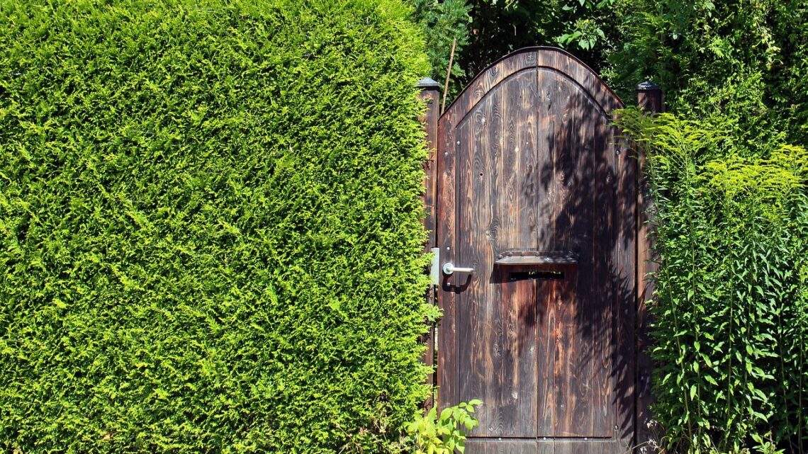 Schöne Sichtschutz-Ideen für den Garten